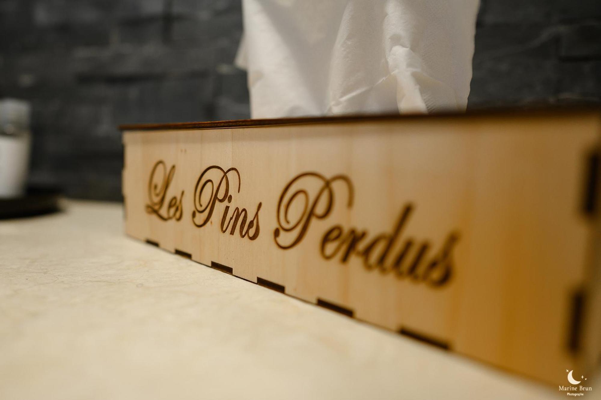 Les Pins Perdus Bed & Breakfast Saint-Ciers-d'Abzac Exterior foto