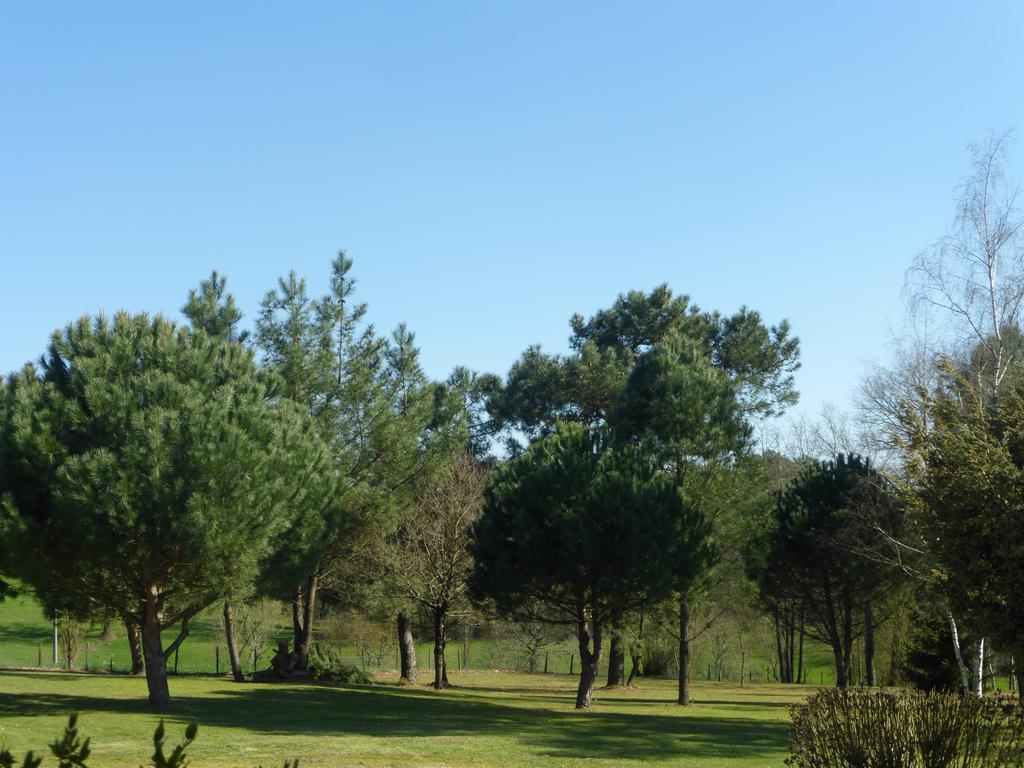 Les Pins Perdus Bed & Breakfast Saint-Ciers-d'Abzac Exterior foto