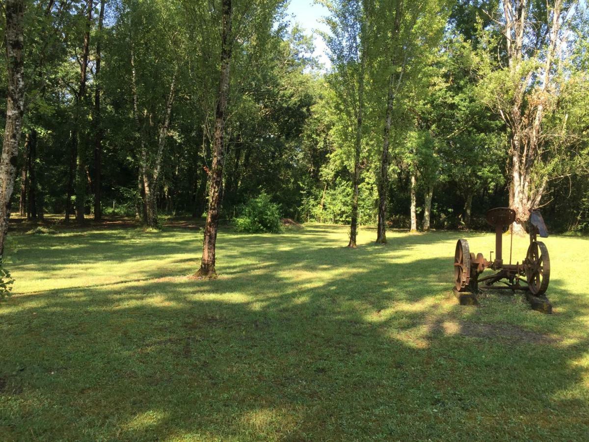 Les Pins Perdus Bed & Breakfast Saint-Ciers-d'Abzac Exterior foto